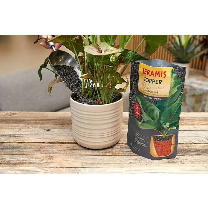 Seramis Pflanzgranulat Topper - 1 l, Dark Shadow - Eine Hand füllt mit einer Schaufel Seramis Topper Dark Shadow in einen Topf mit einer Zimmerpflanze.