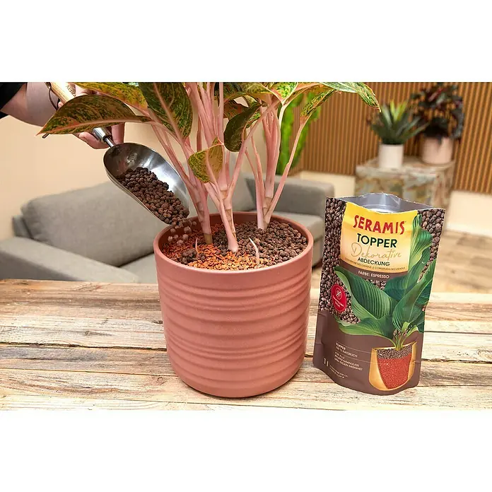 Seramis Pflanzgranulat Topper - 1 l, Espresso - Der Seramis Topper Abdeckung Espresso wird in einen Topf mit einer Grünpflanze gefüllt, um das Substrat abzudecken und die Optik zu verbessern.