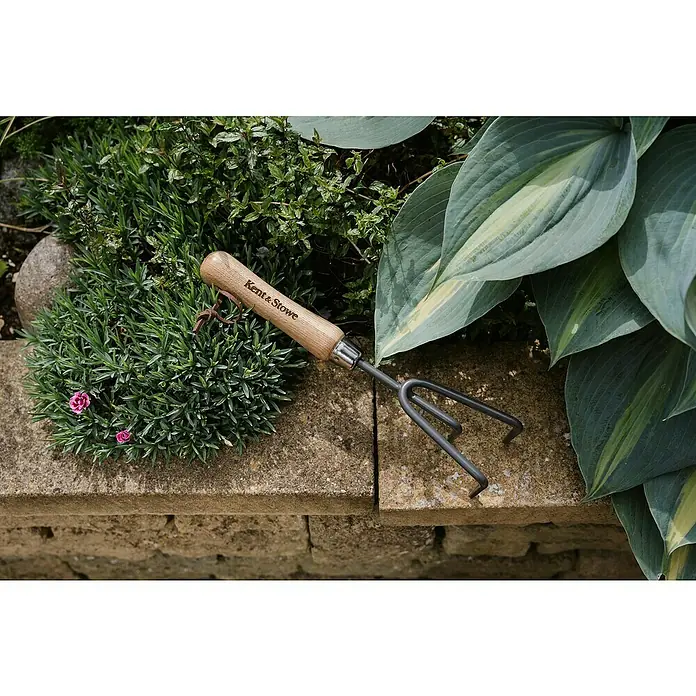 Kent & Stowe Grubber Carbon Steel - 3 Stk., Kurzstiel - Nahaufnahme einer Handgabel der Marke Kent & Stowe auf einer Steinmauer, umgeben von Pflanzen, die die Marke und ihre Gartenaffinität hervorheben.
