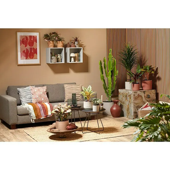 Seramis Pflanzgranulat Topper - 1 l, Espresso - Wohnzimmerdekoration mit grauem Sofa, Pflanzen, Beistelltischen, Wandregalen und einem gerahmten Kunstwerk.