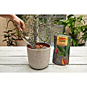 Seramis Pflanzgranulat Topper (1 l, Graphite) | BAUHAUS