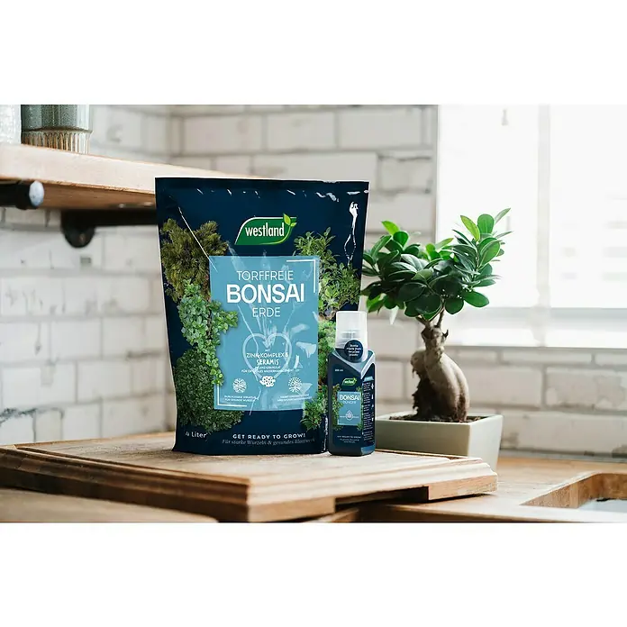 Westland Bonsaierde - 4 l, Torffrei - Westland Torffreie Bonsai Erde und Bonsai Dünger auf einem Holztisch, mit einem kleinen Bonsaibaum im Hintergrund.