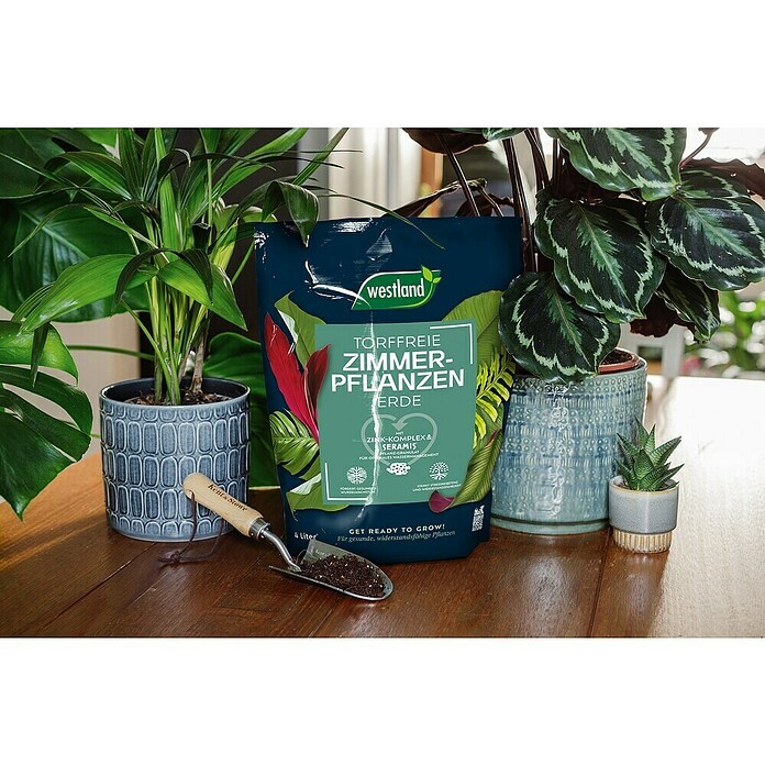 Westland Zimmerpflanzenerde (4 l, Torffrei) | BAUHAUS