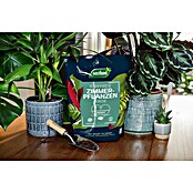 Westland Zimmerpflanzenerde (4 l, Torffrei) | BAUHAUS