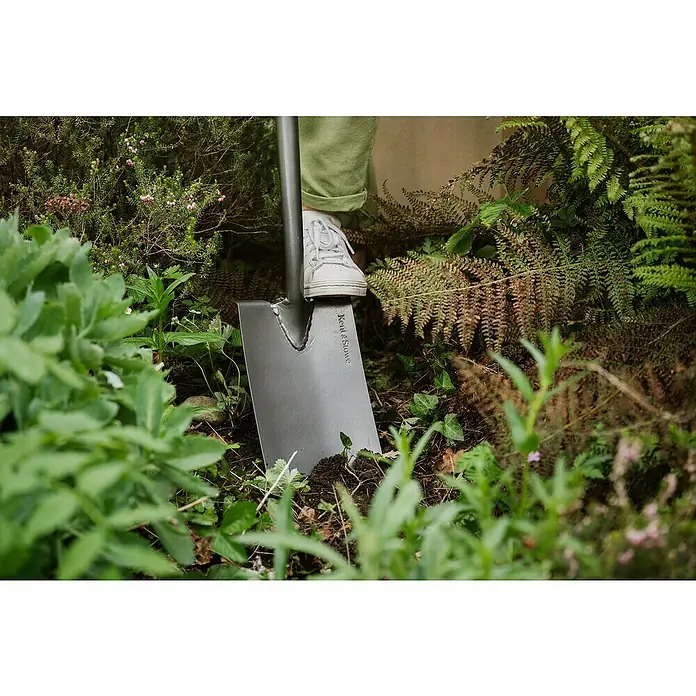 Kent & Stowe Gärtnerspaten Carbon Steel - 110 cm - Nahaufnahme eines Kent & Stowe Spatens, der in einem Garten in die Erde gesteckt wird, mit einem Fuß auf der Oberseite des Spatens.