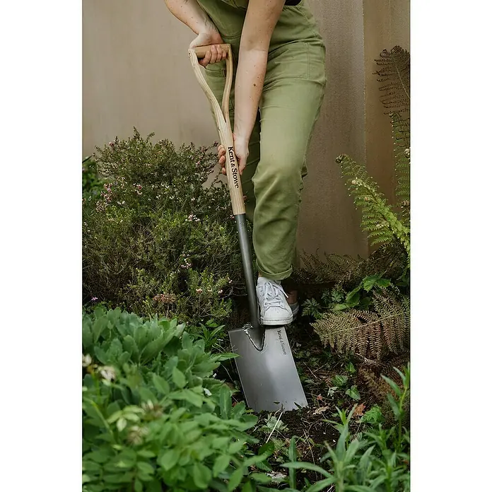 Kent & Stowe Gärtnerspaten Carbon Steel - 110 cm - Eine Person benutzt einen Kent & Stowe Spaten im Garten, um Pflanzen umzupflanzen oder Beete vorzubereiten. Das Werkzeug ist ideal für Gartenarbeiten.