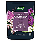 Westland Orchideenerde (4 l, Torffrei) | BAUHAUS