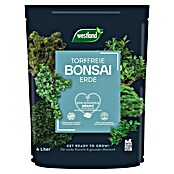 Westland Bonsaierde (4 l, Torffrei) | BAUHAUS