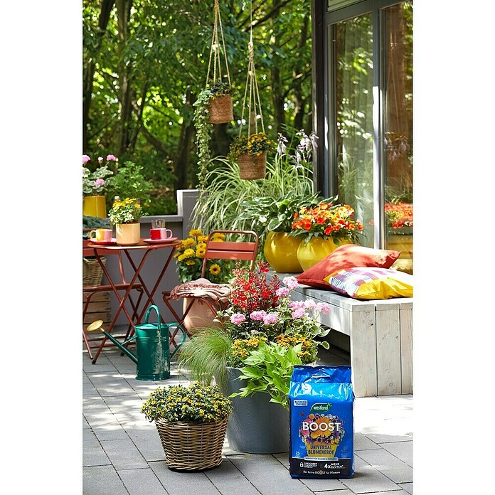 Westland Blumenerde Boost (25 l, Torffrei) | BAUHAUS