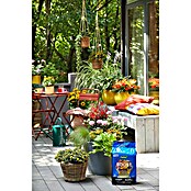 Westland Blumenerde Boost (25 l, Torffrei) | BAUHAUS