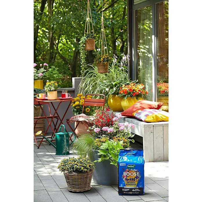 Westland Blumenerde Boost - 25 l, Torffrei - Eine Nahaufnahme eines Westland Boost Universaldüngers inmitten einer üppigen Gartenszene mit bunten Blumen und Pflanzen.