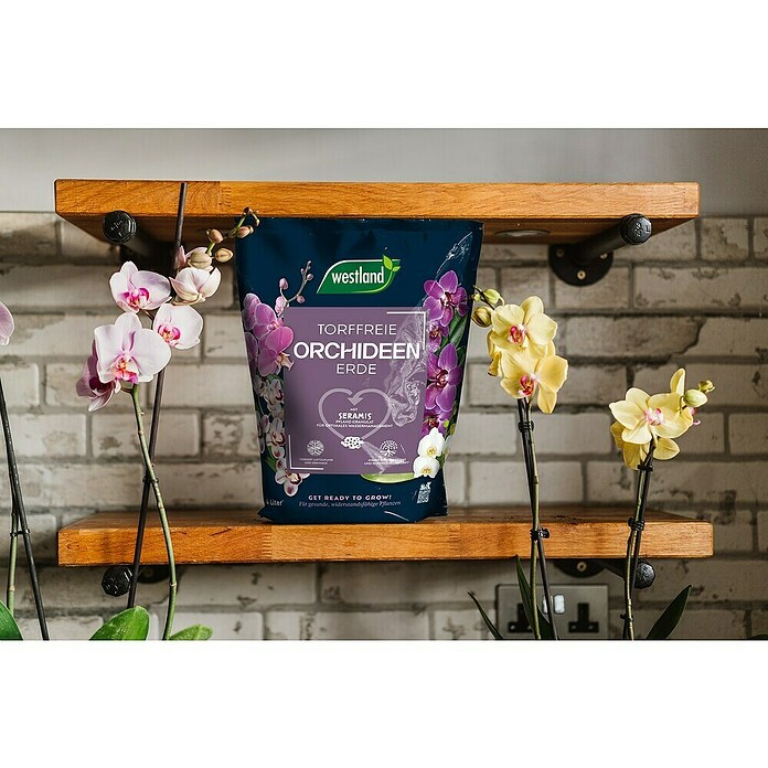 Westland Orchideenerde (4 l, Torffrei) | BAUHAUS