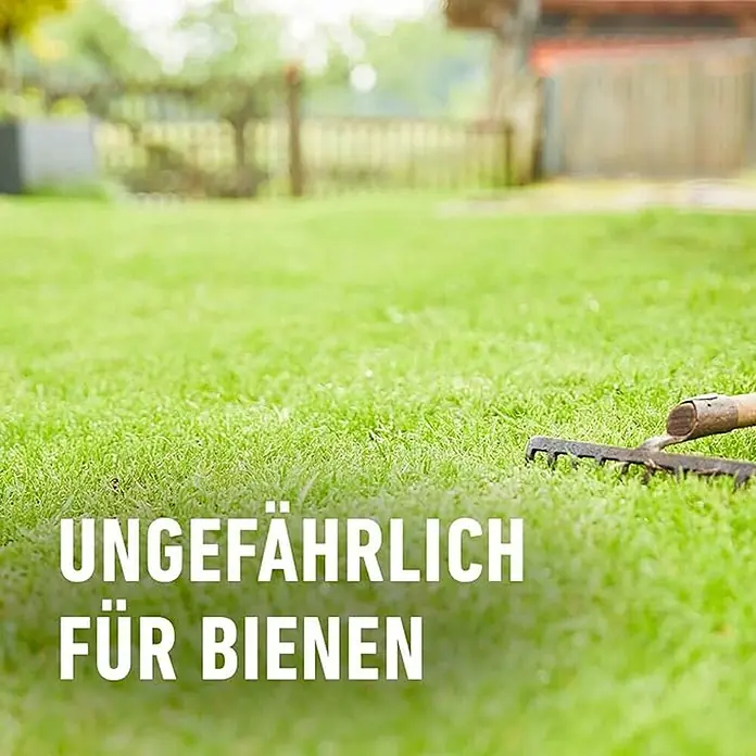 Compo Rasen-Moosfrei Herbistop - 500 ml - Rasenpflege: Ungefährlich für Bienen. Eine umweltfreundliche Wahl für einen gesunden Garten. Ideal für Natur- und Tierliebhaber.