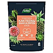 Westland Kakteenerde (4 l) | BAUHAUS