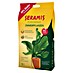 Seramis Pflanzgranulat 20% Vorteilspack 