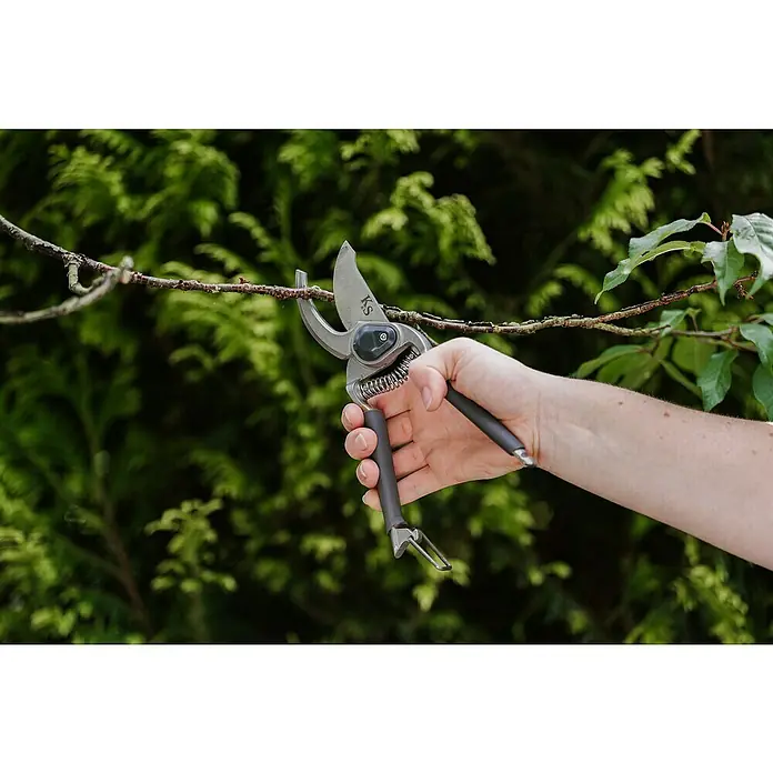 Kent & Stowe Gartenschere Carbon Steel - Max. Aststärke: 18 mm - Bild einer Hand, die mit einer Gartenschere einen Ast schneidet. Die silberne Schere hat schwarze Griffe und ist vor grünem Laub platziert.