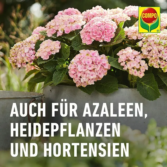 Compo Langzeitdünger Rhododendron - 850 g - COMPO Blumenerde ist auch für Azaleen, Heidepflanzen und Hortensien geeignet und sorgt für ein gesundes Wachstum und eine üppige Blüte.