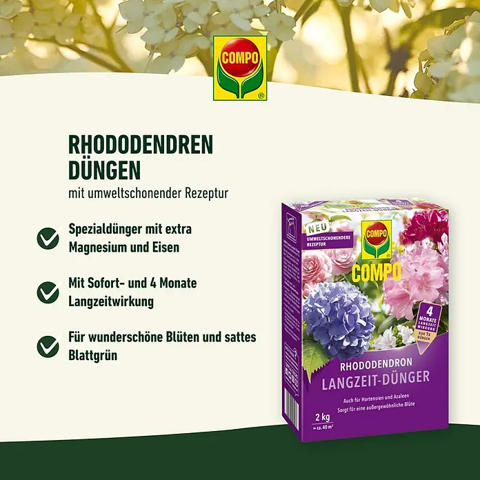 Compo Langzeitdünger Rhododendron - 850 g - Abbildung eines COMPO Rhododendron Langzeit-Düngers mit dem Versprechen üppiger Blüten und sattem Grün.