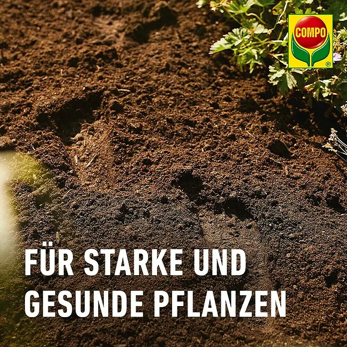 Compo Sana Blumenerde für Stauden, Büsche, Hecken und Bäume - 70 l - COMPO Blumenerde für starke und gesunde Pflanzen. Für ein optimales Wachstum und üppige Blütenpracht im Garten und auf dem Balkon.