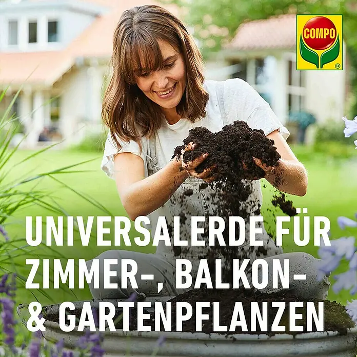 buschbohnen bio saatgut Bio-Buschbohne 'Elmoro' kaufen main image 1