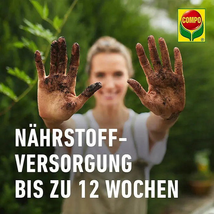 kaktus künstlich Kaktus Saguaro Künstlich - Künstliche Pflanzen