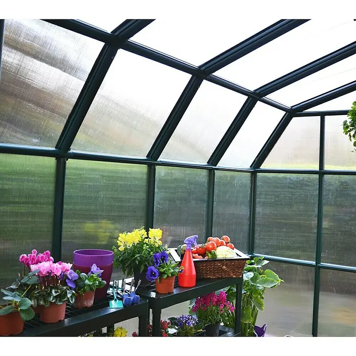 Palram – Canopia Invernadero Hobby Gardener - Medidas ext. (An x Pr): 266 x 266 cm, 6 mm, Verde - Vista interior de un invernadero con flores, verduras y herramientas de jardinería en un estante, mostrando un entorno próspero y productivo.