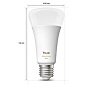 Philips Hue Smart-ledlamp White Ambiance 1600 (E27, Dimbaar, Koud wit, 1.600 lm, 11,8 W) | BAUHAUS