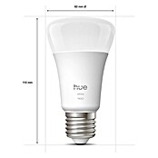 Philips Hue Pametna LED sijalka White 1100  (E27, Možnost zatemnitve, Toplo bela, 1.100 lm, 9,5 W, 2 kos) | LED luči | Svetlila | Elektro in svetila | Izdelki | BAUHAUS