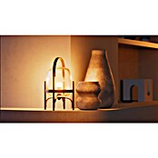 Philips Hue Pametna LED sijalka White 1100  (E27, Možnost zatemnitve, Toplo bela, 1.100 lm, 9,5 W, 2 kos) | LED luči | Svetlila | Elektro in svetila | Izdelki | BAUHAUS