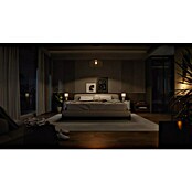 Philips Hue Smart-LED-Lampe White Ambiance 1600 matter (E27, Dimmbar, Kaltweiß, 1 600 lm, 11,8 W) | BAUHAUS