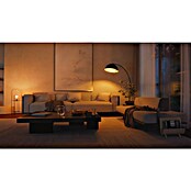 Philips Hue Smart-ledlamp White Ambiance 1600 (E27, Dimbaar, Koud wit, 1.600 lm, 11,8 W) | BAUHAUS