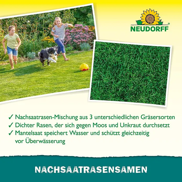 Neudorff Nachsaat-Rasen - 1 kg, 50 m² - Produktbild von Neudorff Nachsaatrasensamen, einer Rasenmischung für dichten, widerstandsfähigen Rasen.