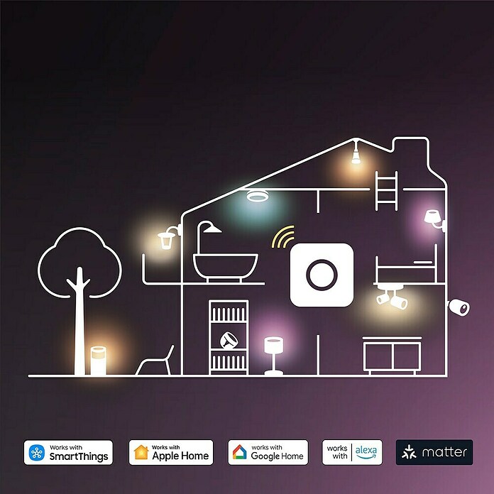 Philips Hue Bombilla LED inteligente Hue Essential (8 W, RGBW, 806 lm, 1 ud.) | BAUHAUS