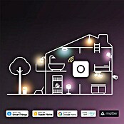 Philips Hue Bombilla LED inteligente Hue Essential (8 W, RGBW, 806 lm, 1 ud.) | BAUHAUS
