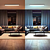 Philips Hue LED-Panel White Ambience Aurelle (19 W, L x B x H: 120 x 30 x 4,8 cm, Weiß, Warmweiß) | BAUHAUS