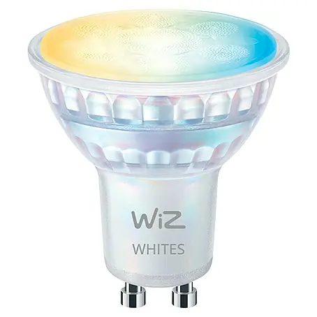 Philips Wiz Smart-LED-Lampe