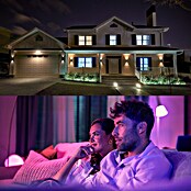 Philips Hue Bombilla LED inteligente Hue Essential (E27, Intensidad regulable, RGBW, 806 lm, 8 W, 1 ud.) | BAUHAUS