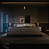 Philips Hue Pametna LED sijalka White 1100  (E27, Možnost zatemnitve, Toplo bela, 1.100 lm, 9,5 W, 2 kos) | LED luči | Svetlila | Elektro in svetila | Izdelki | BAUHAUS