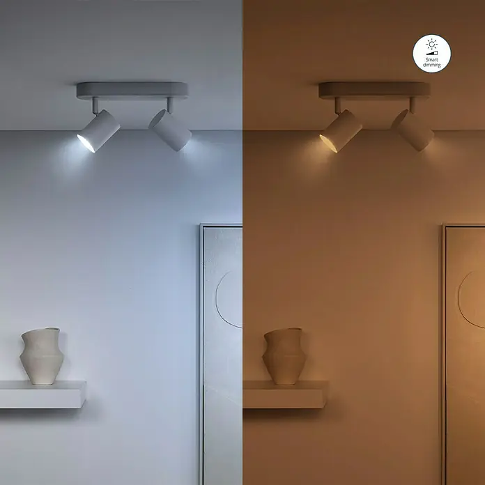 Philips Wiz Smart-LED-Lampe - GU10, Dimmbar, Mehrfarbig, 400 lm, 5 W, 1 Stk. - Moderne Deckenleuchte mit zwei schwenkbaren Strahlern, die in kaltweißem und warmweißem Licht erstrahlen. Smart Dimmfunktion für flexible Lichtstimmungen.