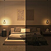 Philips Hue Bombilla LED inteligente Hue Essential (E27, Intensidad regulable, RGBW, 806 lm, 8 W, 1 ud.) | BAUHAUS