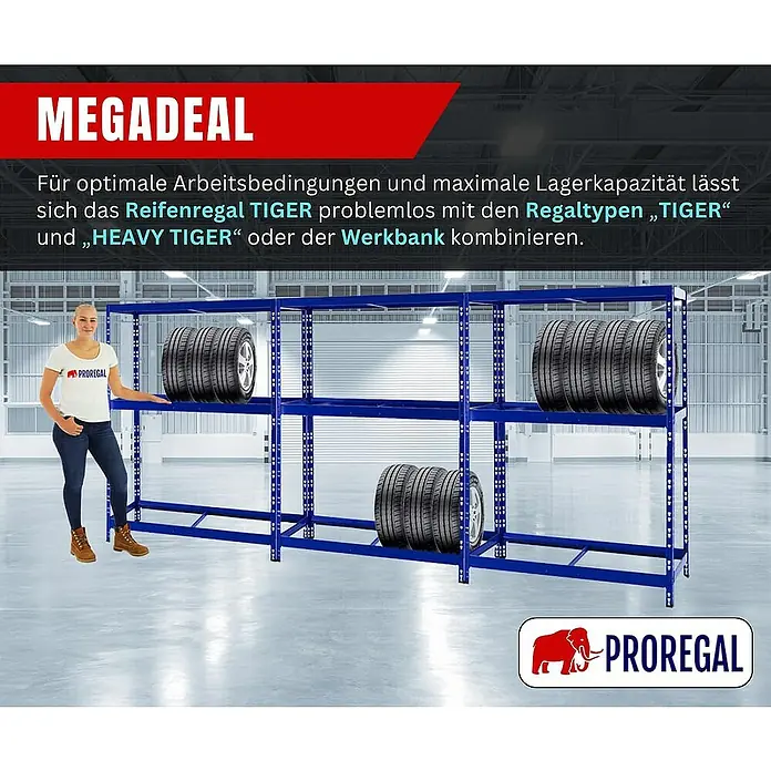 Proregal Reifenregal Tiger mit Fachboden - H x B x T: 180 x 130 x 50 cm, Stecken, Blau - Das TIGER Reifenregal bietet optimale Lagerkapazität und Arbeitsbedingungen. Es ist kombinierbar mit Regaltypen und Werkbänken.