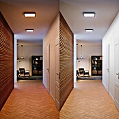 Philips Hue LED-Panel White Ambience Aurelle (19 W, L x B x H: 30 x 30 x 4,6 cm, Schwarz, Warmweiß) | BAUHAUS