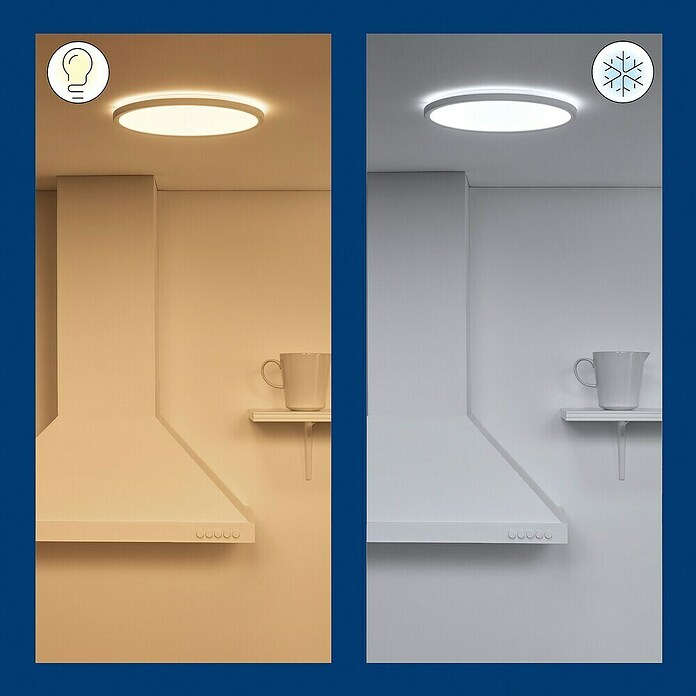 Philips Wiz Plafón LED redondo Superslim (14 W, Ø x Al: 24,2 x 2,3 cm, Color del marco: Blanco, Blanco frío) | BAUHAUS