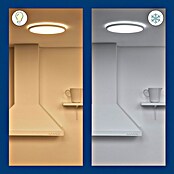 Philips Wiz Plafón LED redondo Superslim (14 W, Ø x Al: 24,2 x 2,3 cm, Color del marco: Blanco, Blanco frío) | BAUHAUS