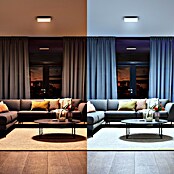 Philips Hue LED-Panel Auerelle (19 W, L x B x H: 30 x 30 x 4,8 cm, Weiß, Warmweiß) | BAUHAUS