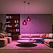 Philips Hue Smart-LED-Lampe Set mit Dimmcontroller, Steuerzentrale (E27, Dimmbar, RGBW, 2 Stk.) | BAUHAUS