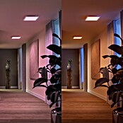 Philips Hue LED-Panel White & Color Ambiance Surimu (24,8 W, L x B x H: 30 x 30 x 4,6 cm, Weiß, Opal, RGBW) | BAUHAUS