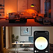Philips Hue Smart-LED-Lampe White and Color 1600 matter (E27, Dimmbar, RGB, 1 600 lm, 11,8 W) | BAUHAUS