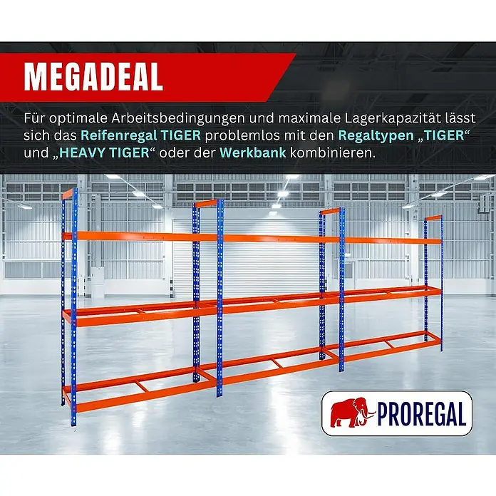 Proregal Reifenregal Tiger XL - H x B x T: 200 x 150 x 45 cm, Stecken, Blau-Orange - Reifenregal TIGER für optimale Lagerung und Arbeitsbedingungen. Robust, langlebig und einfach mit anderen Regaltypen kombinierbar.
