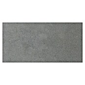 Art-Tec by Palazzo Keramische tegel (30 x 60 cm, Steel, Mat)